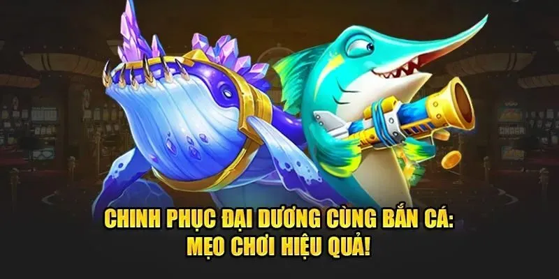 Một vài mẹo hay giúp nâng cao trình độ săn cá