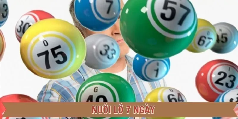 Nuôi lô 7 ngày